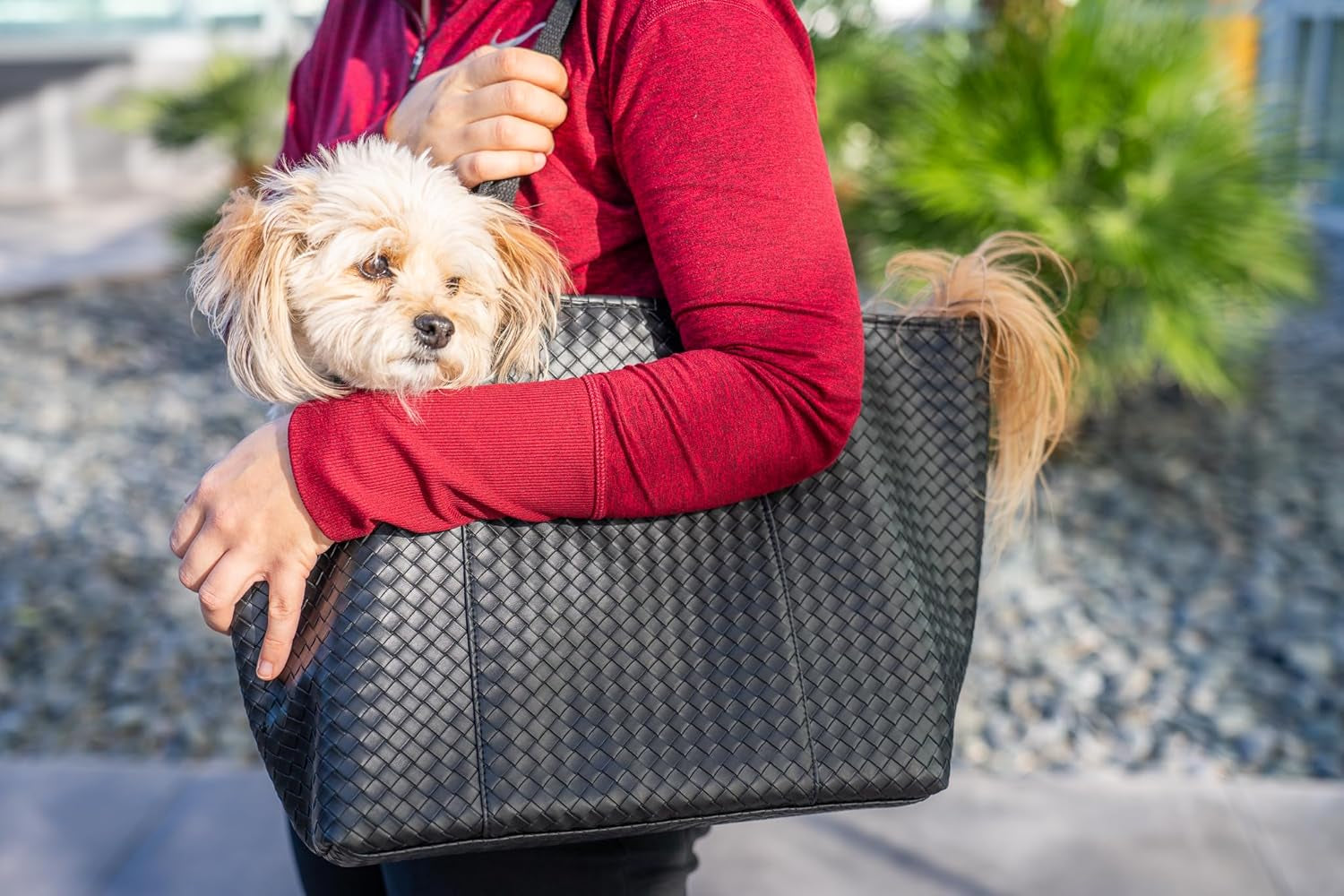 Luxury Woven Dog Purse Carrier for Small Dogs - Cozy Faux Leather, Dog Carrier Purse with Secure Harness Clip, Black Dog Tote Bag for Small Dogs and Puppies