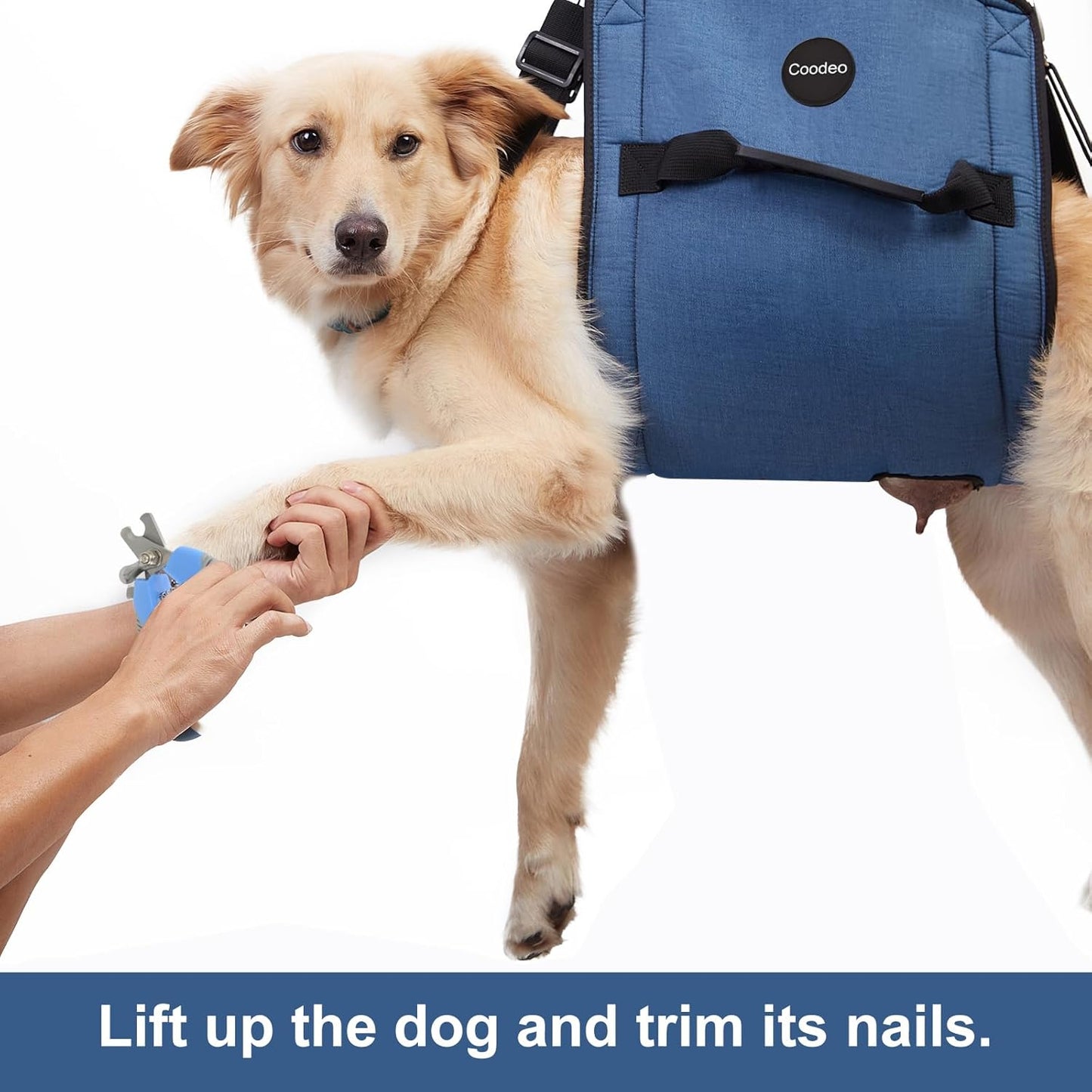 Ultimate Comfort Dog Carry Sling - Supportive Emergency Backpack Harness for Senior Dogs with Joint Issues, Arthritis, and Nail Trimming (XX-Large, Blue)