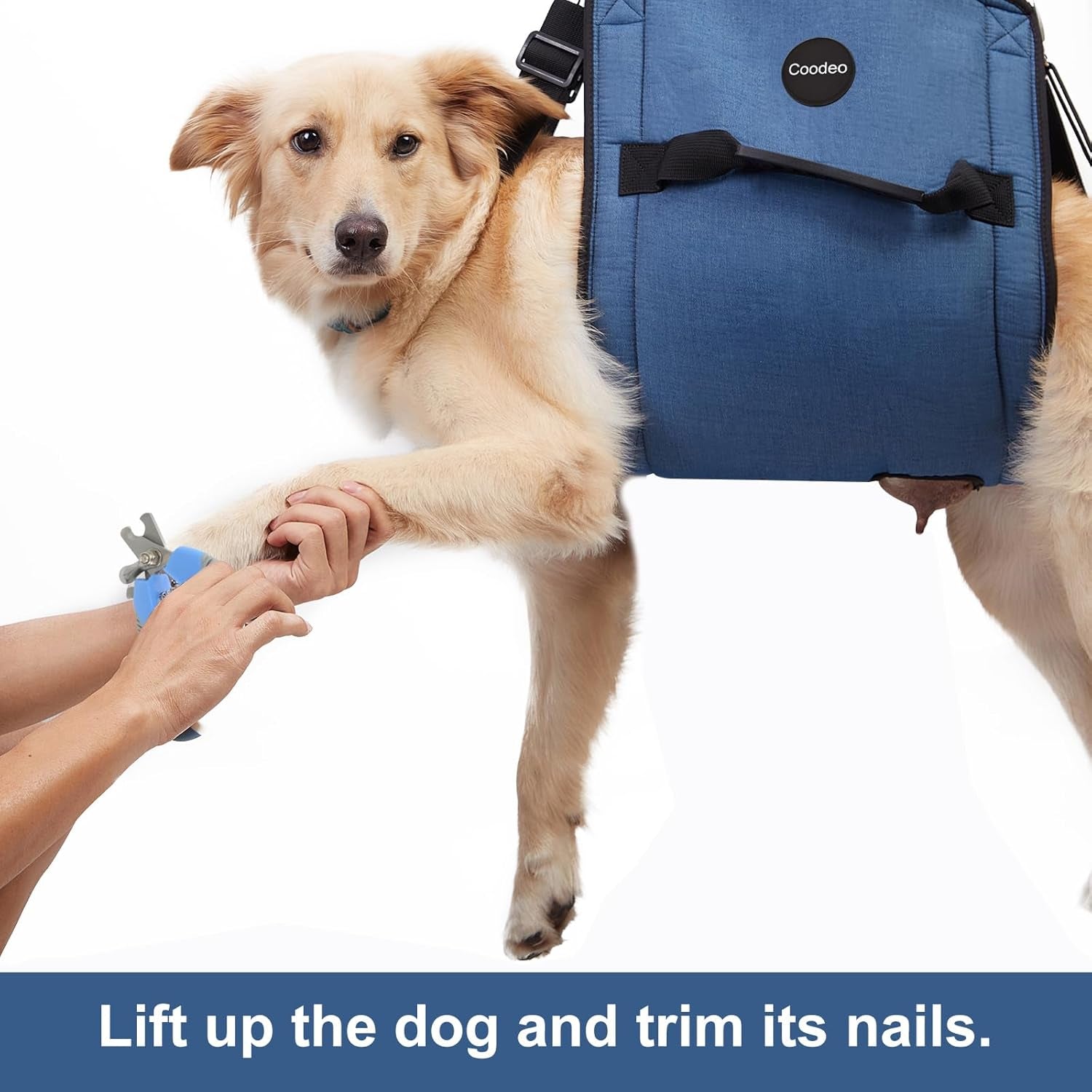 Ultimate Comfort Dog Carry Sling - Supportive Emergency Backpack Harness for Senior Dogs with Joint Issues, Arthritis, and Nail Trimming (XX-Large, Blue)