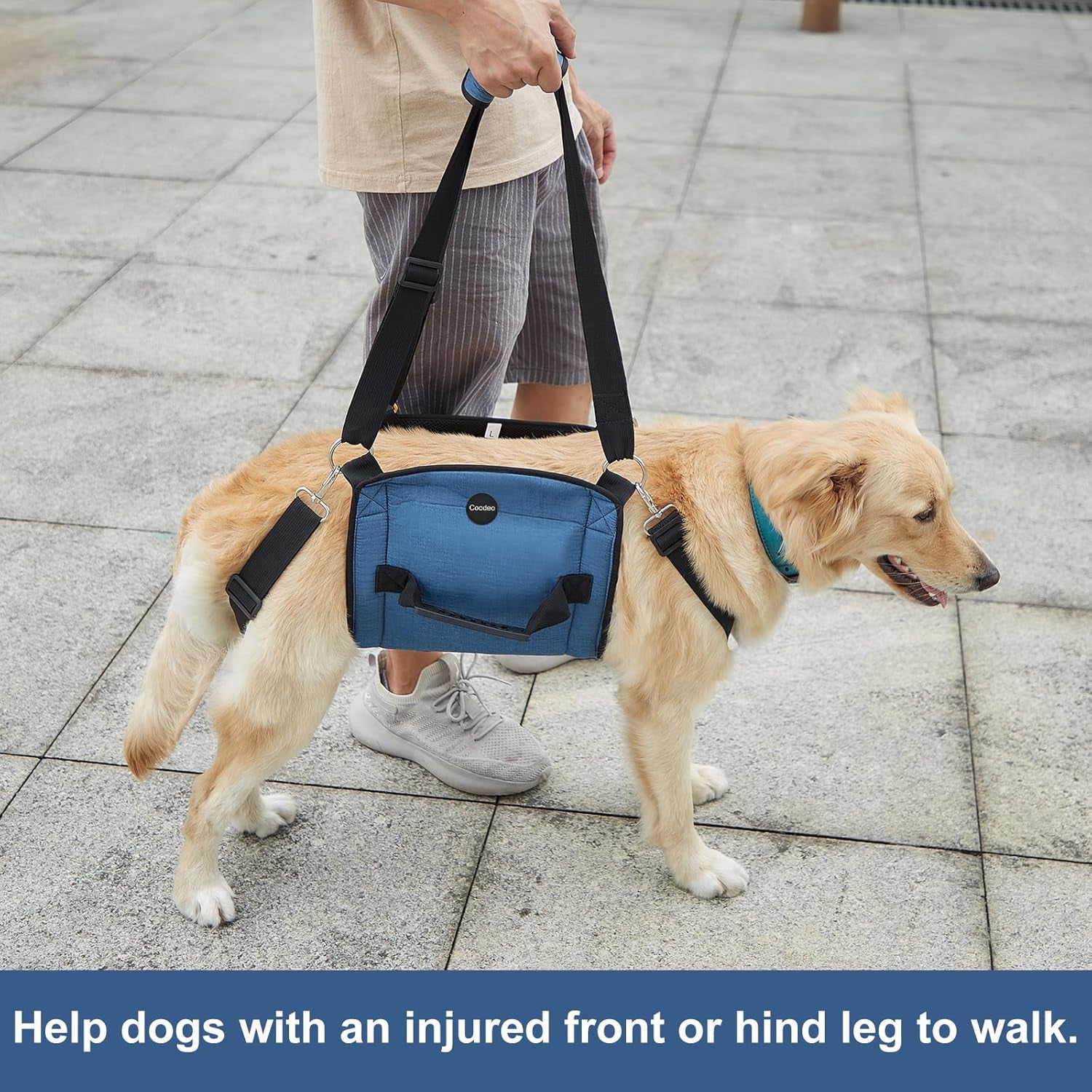 Ultimate Comfort Dog Carry Sling - Supportive Emergency Backpack Harness for Senior Dogs with Joint Issues, Arthritis, and Nail Trimming (XX-Large, Blue)