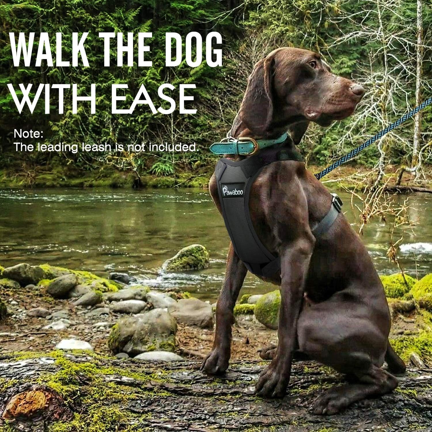 Dog Safety Vest Harness, Pet Car Harness Vehicle Seat Belt with Adjustable Strap and Buckle Clip, Easy Control for Driving Traveling Safety for Small Medium Dogs Cats, Small, Black