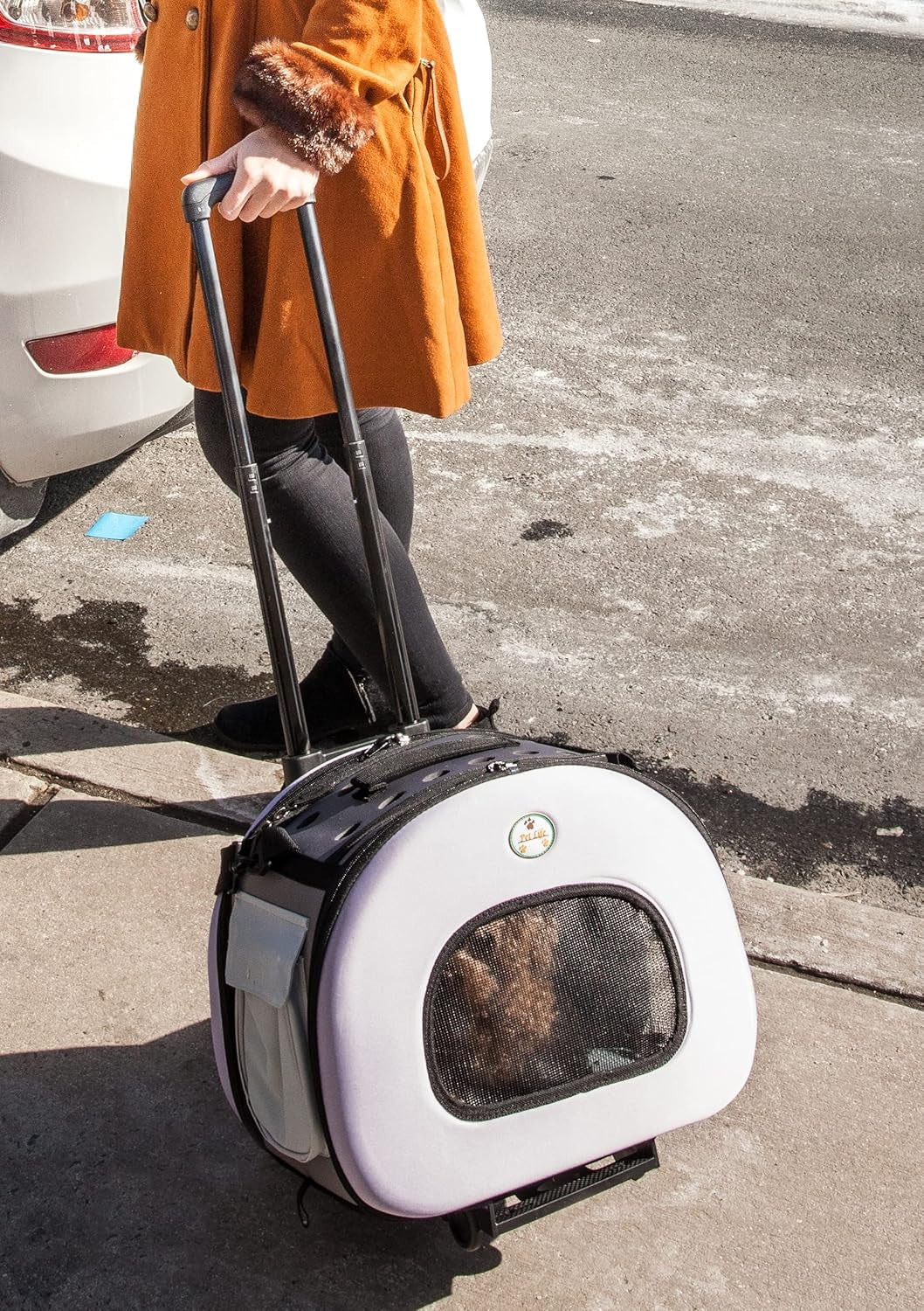 'Final Destination' Airline Approved 2-In-1 Tough-Shell Wheeled Collapsible Travel Fashion Pet Dog Carrier Crate, One Size, Black