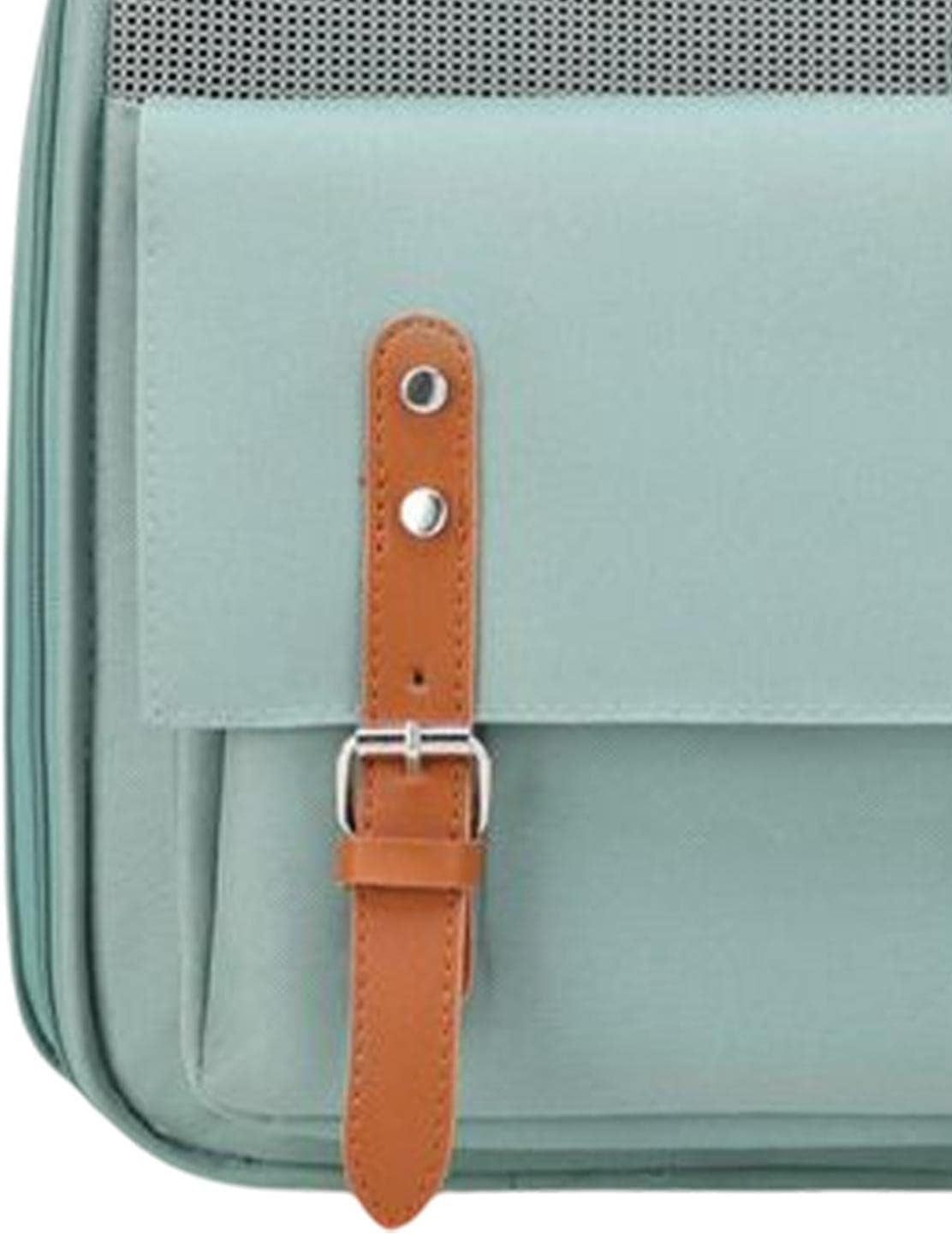 Cat Carrier Backpack Breathable for Cat Dog Small Dog Portable with Pocket for Travel Walking (Green)